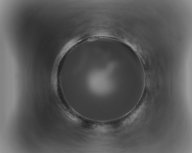 X0000114720199200910211354