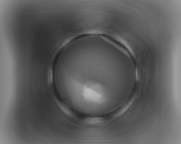 X0000114720205200910211354