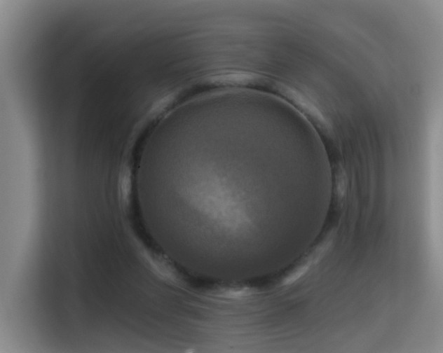 X0000114720206200910211354