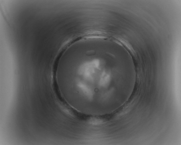 X0000114720207200910211354