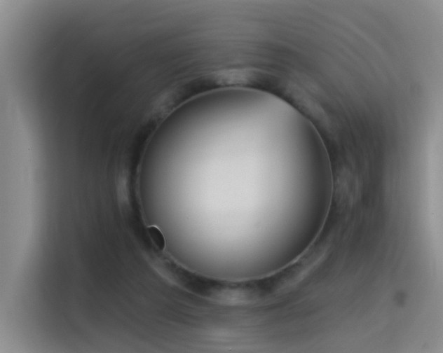 X0000114720209200910211354