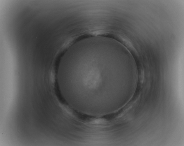 X0000114720210200910211354