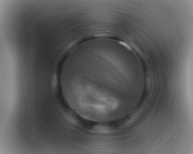 X0000114720211200910211354