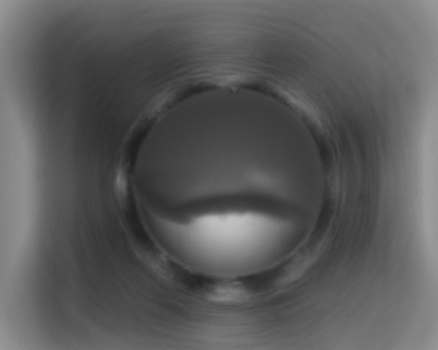 X0000114720214200910211354