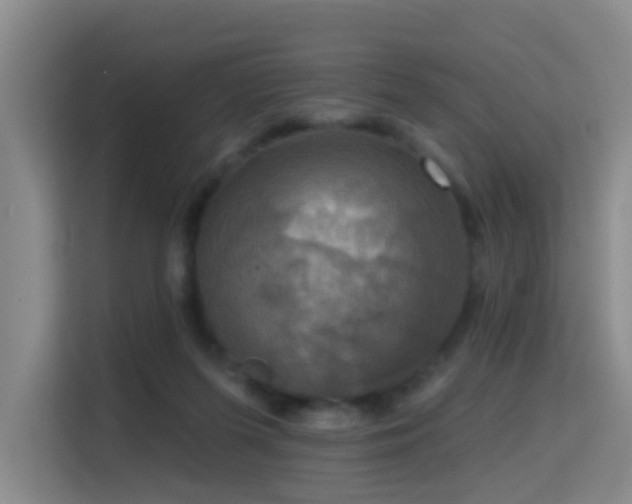 X0000114720215200910211353