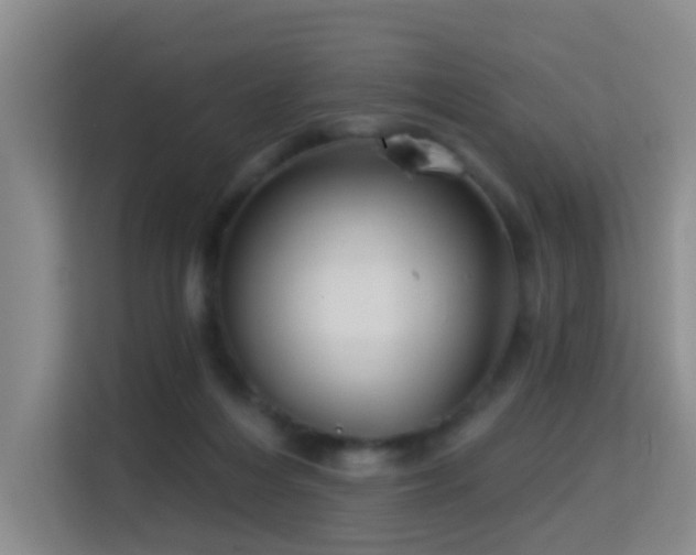 X0000114720216200910211353