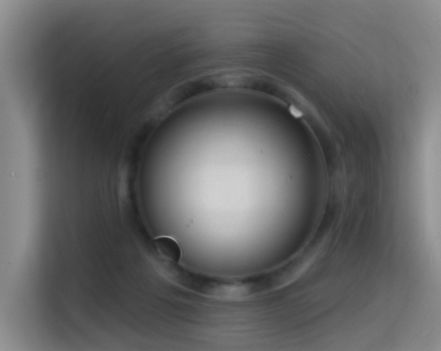 X0000114720217200910211353