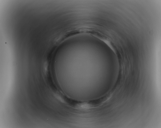 X0000114720219200910211353