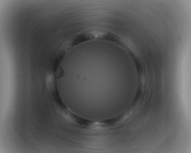 X0000114720222200910211353