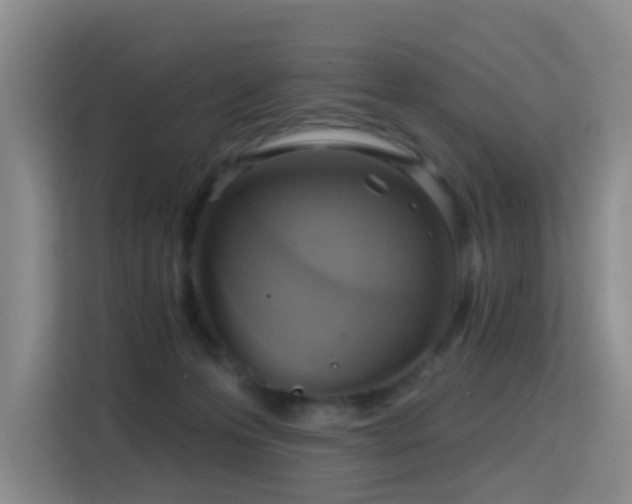 X0000114720223200910211353