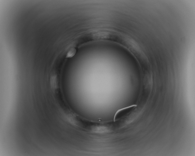 X0000114720224200910211353