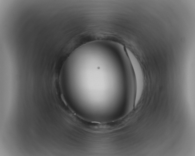 X0000114720225200910211353