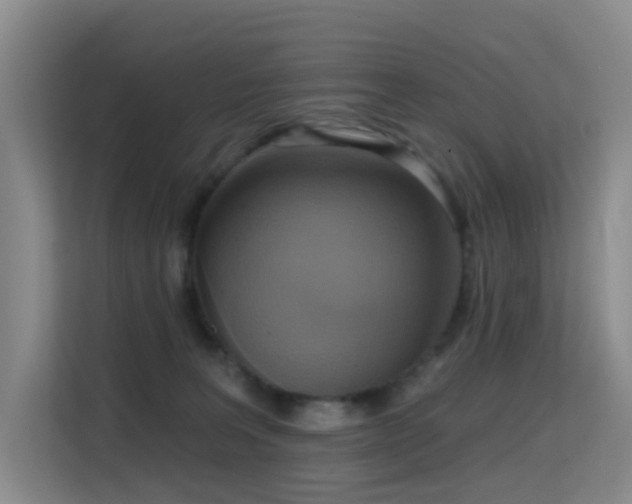 X0000114720227200910211353