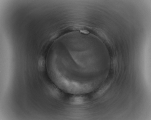 X0000114720228200910211353