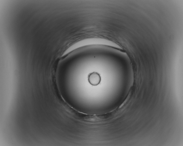 X0000114720229200910211353