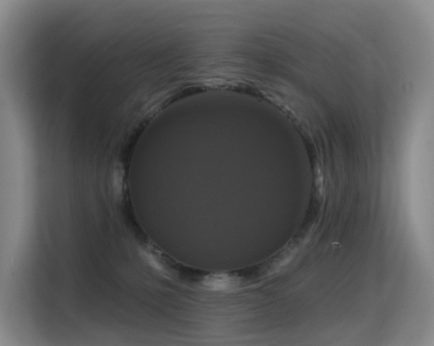 X0000114720231200910211353