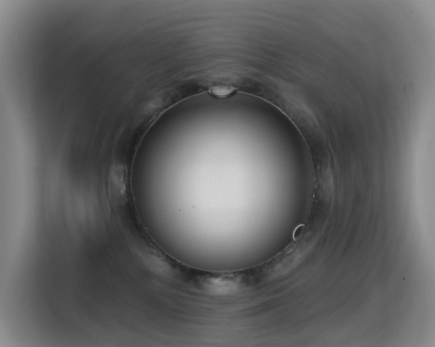 X0000114720232200910211353