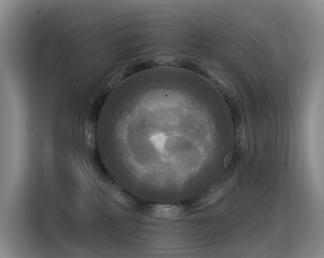 X0000114720234200910211353