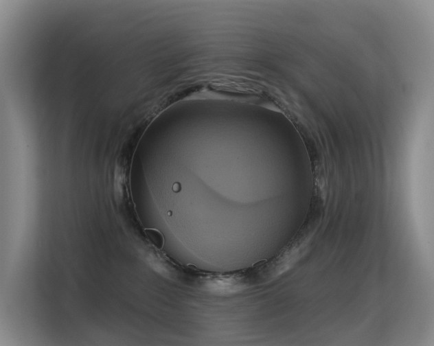 X0000114720235200910211353