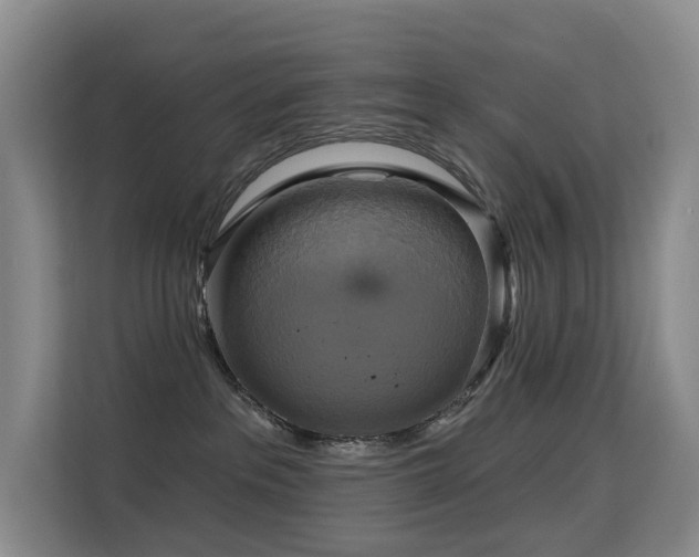 X0000114720237200910211353