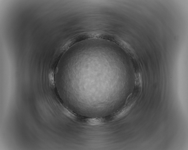 X0000114720238200910211353