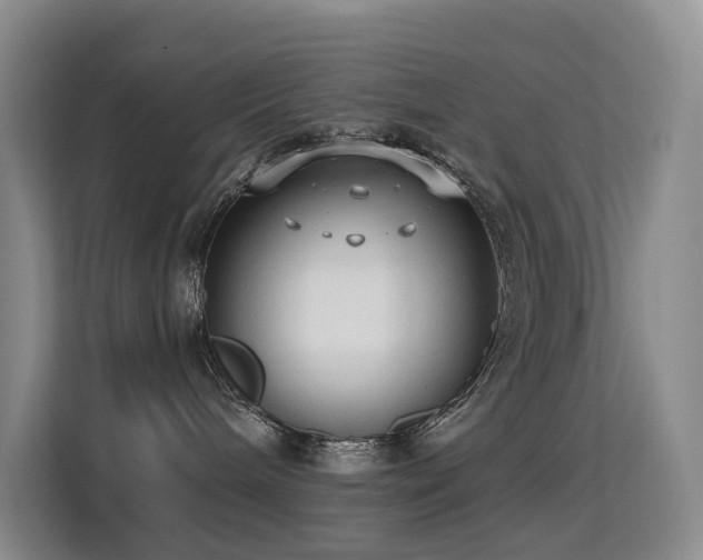 X0000114720240200910211353