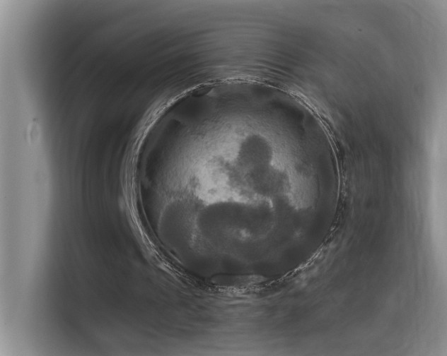 X0000114720241200910211353