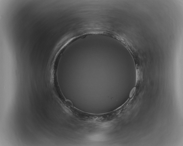 X0000114720243200910211353