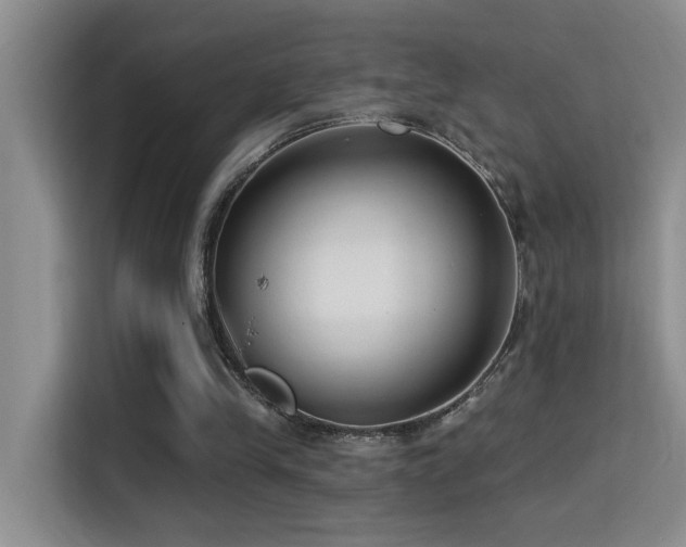 X0000114720245200910211353