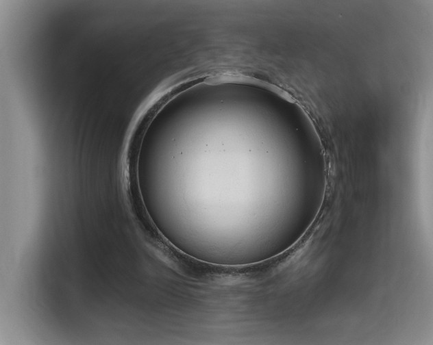 X0000114720246200910211353