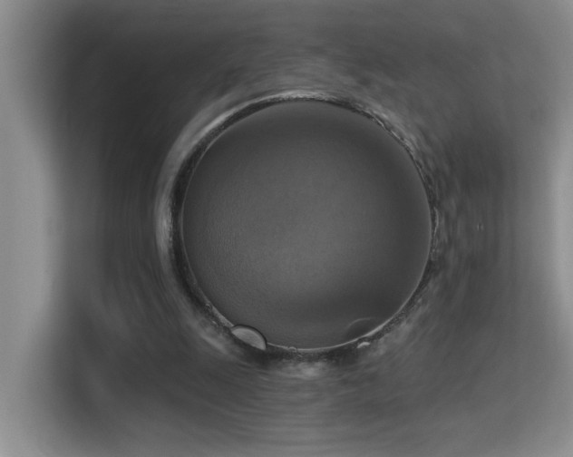 X0000114720247200910211353