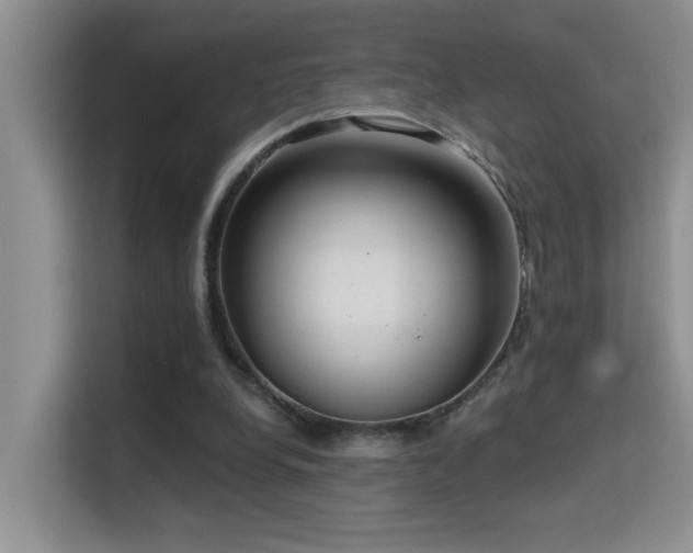 X0000114720248200910211353