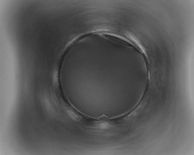 X0000114720249200910211353