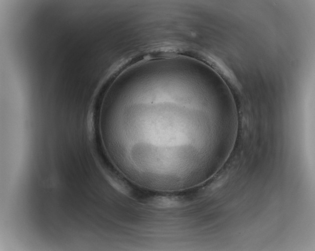 X0000114720250200910211353