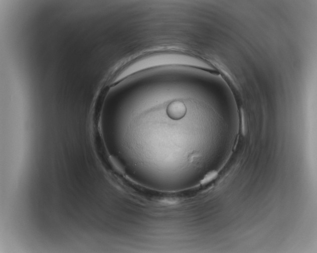 X0000114720252200910211353