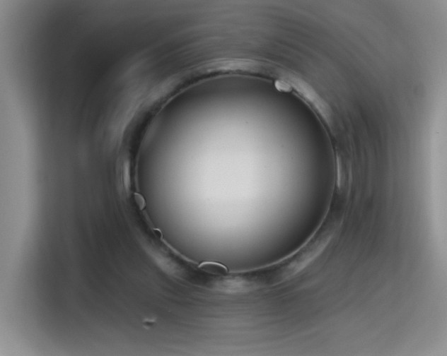 X0000114720253200910211353