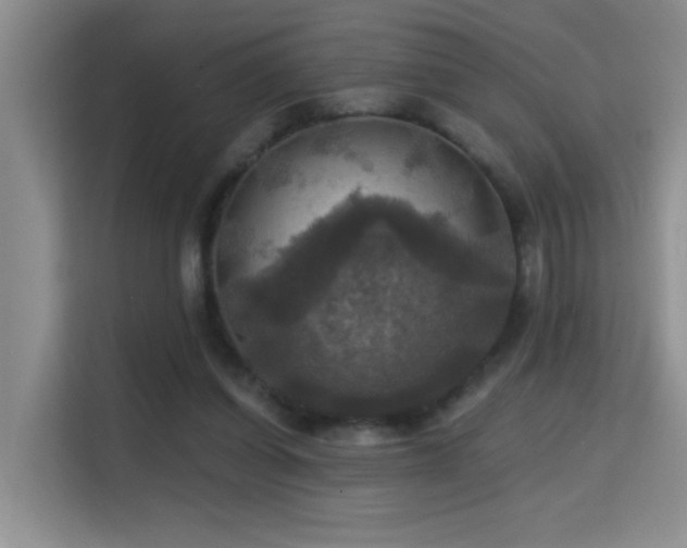 X0000114720254200910211353