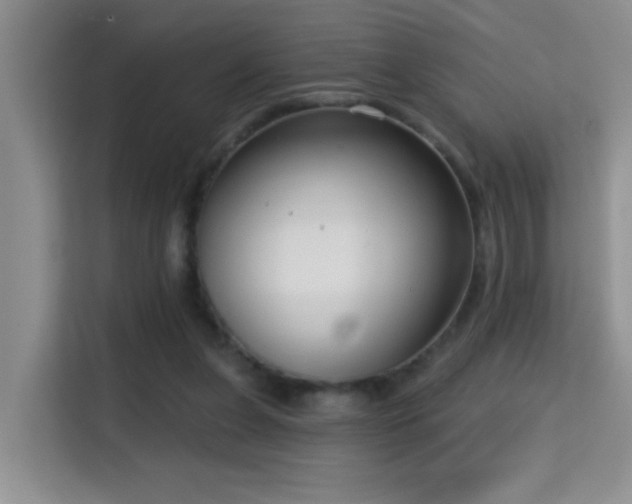 X0000114720255200910211353