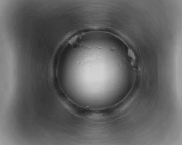 X0000114720256200910211353