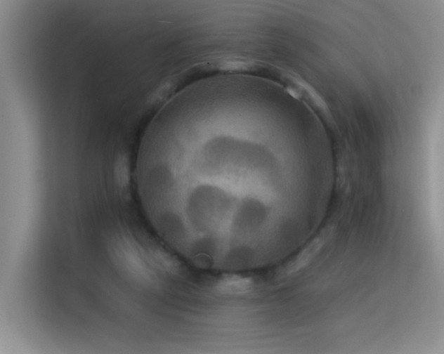 X0000114720257200910211353