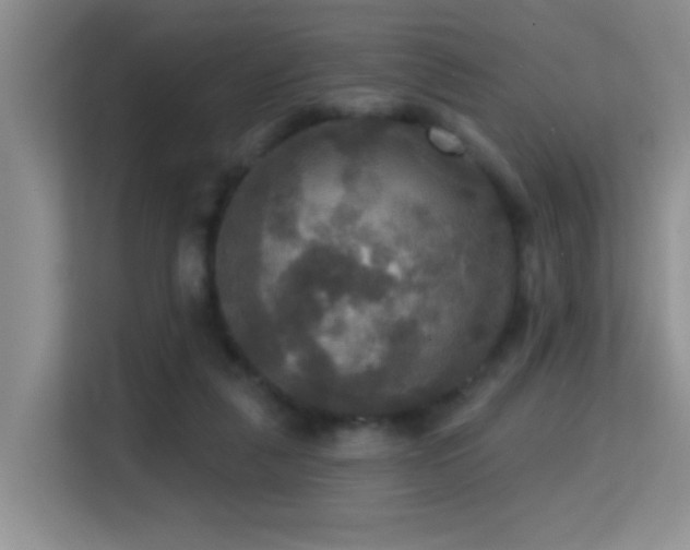 X0000114720259200910211353