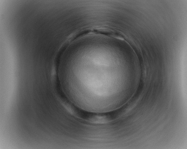 X0000114720260200910211353