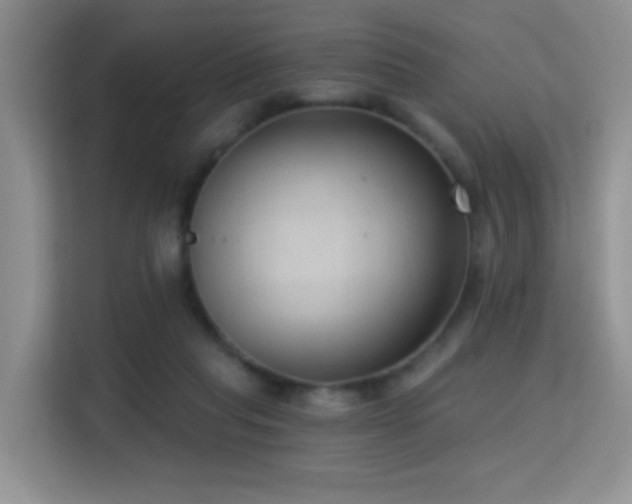 X0000114720261200910211353