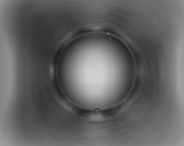 X0000114720262200910211353