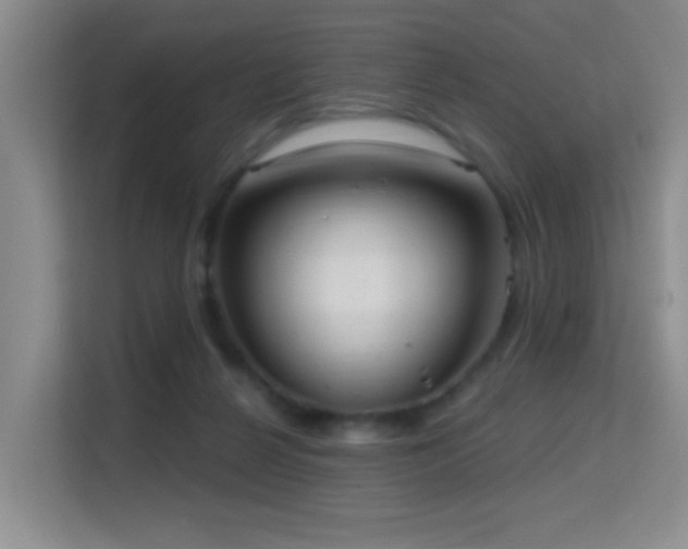 X0000114720264200910211353