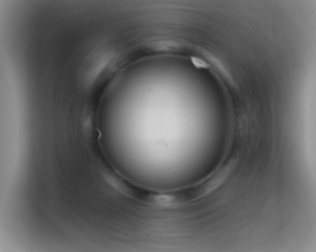 X0000114720265200910211353