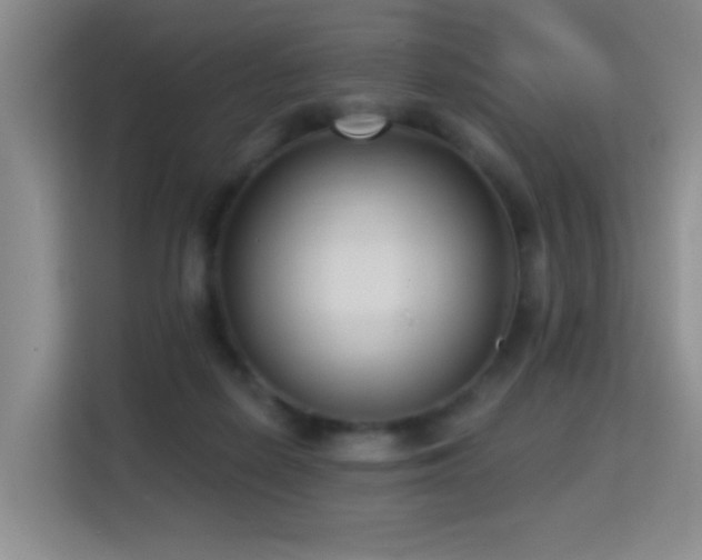 X0000114720266200910211353