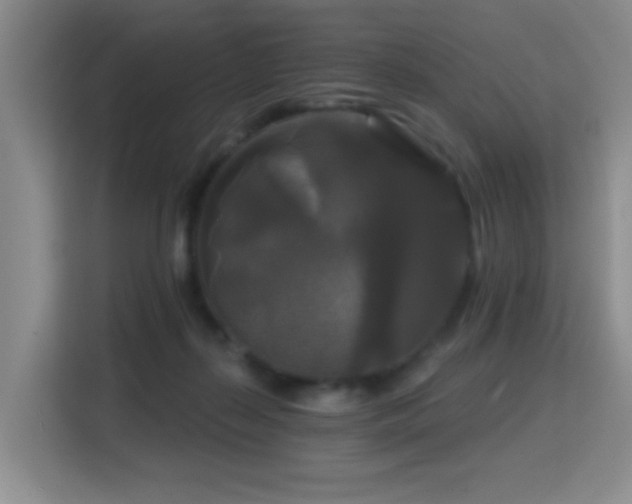 X0000114720267200910211353