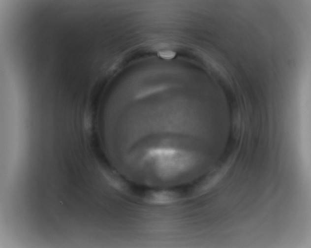 X0000114720268200910211353