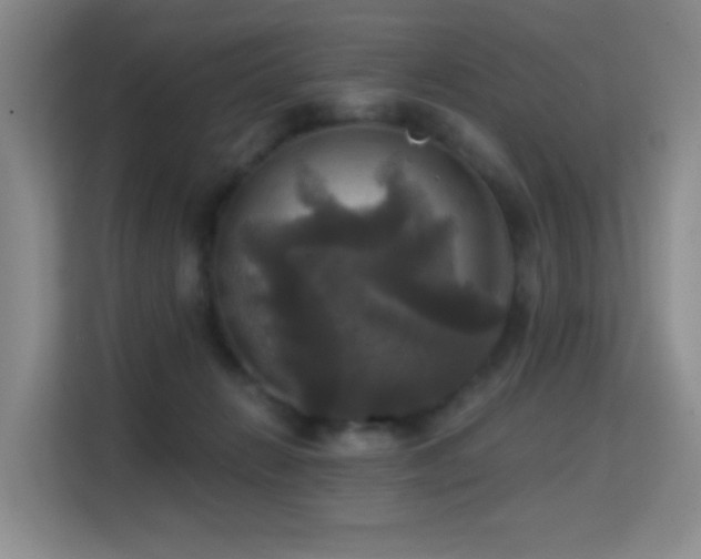 X0000114720270200910211353